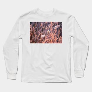 Daisies in a breeze Long Sleeve T-Shirt